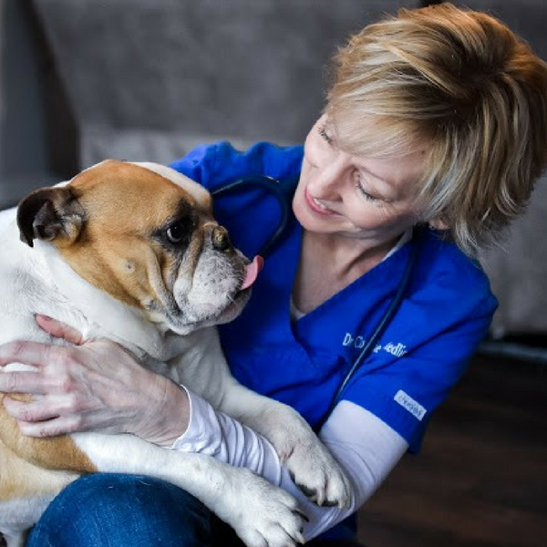 Mobile Veterinarian Sullivan Missouri – Pet Country Housecall