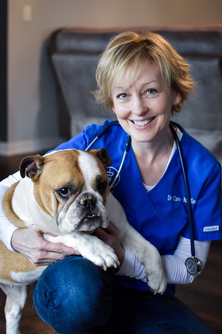 Mobile Veterinarian Sullivan Missouri – Pet Country Housecall